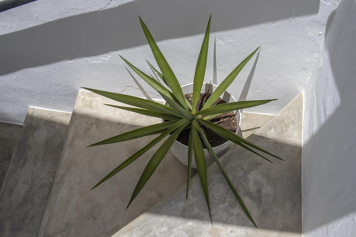 مبيت وإفطار Casa Jardin Cómpeta المظهر الخارجي الصورة